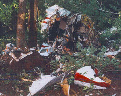 Plane Wreck - If you have post traumatic stress due to a plane crash, contact us in Bloomfield Hills, Michigan, and receive information for legal advice and support groups.